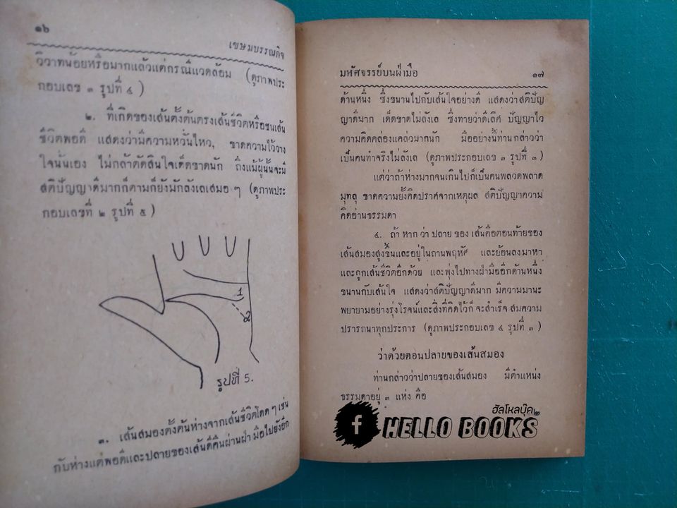 มหัศจรรย์บนฝ่ามือ