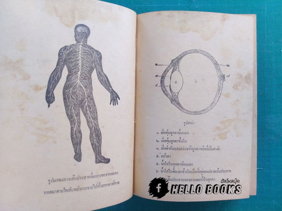 หมอประจำบ้าน