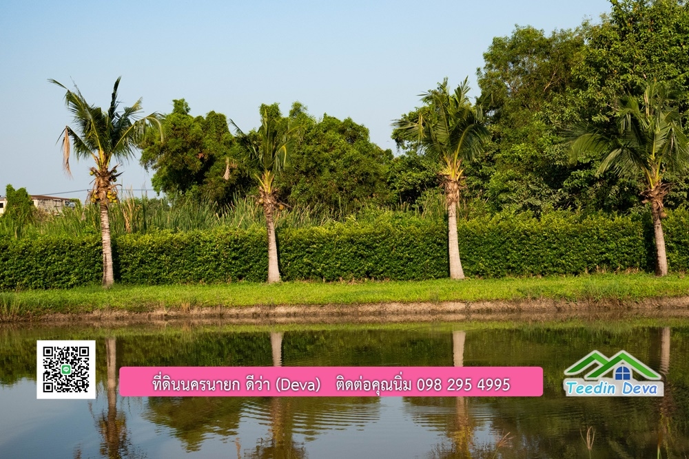 ขายบ้าน ทำเลธุรกิจ สามารถประยุกต์เป็นร้านอาหาร และคาเฟ่