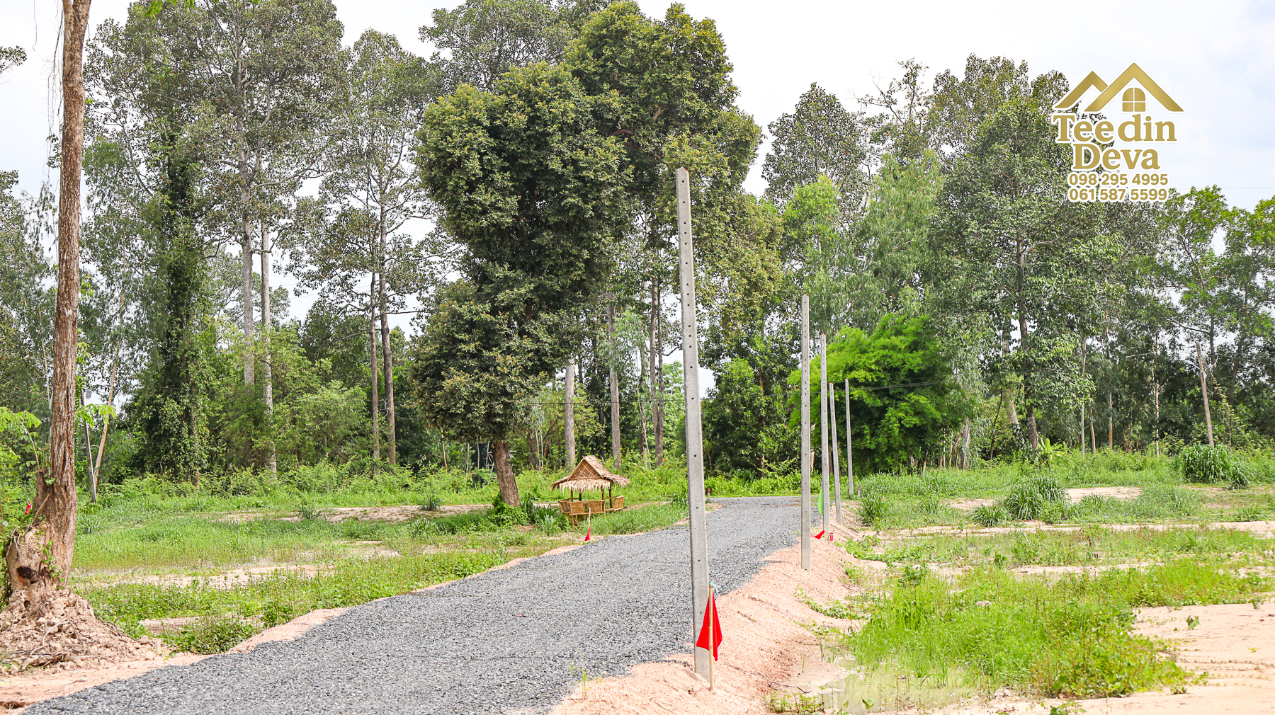 (🔴 ปิดการขาย) เริ่มต้นชีวิตแบบ Slow Life… บนผืนดินอบอุ่นกลางธรรมชาติ ต.ป่าขะ อ.บ้านนา จ.นครนายก