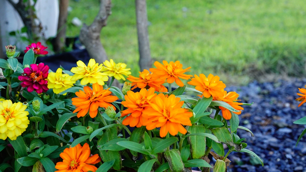 ที่ดินนครนายก โครงการ mountain 6