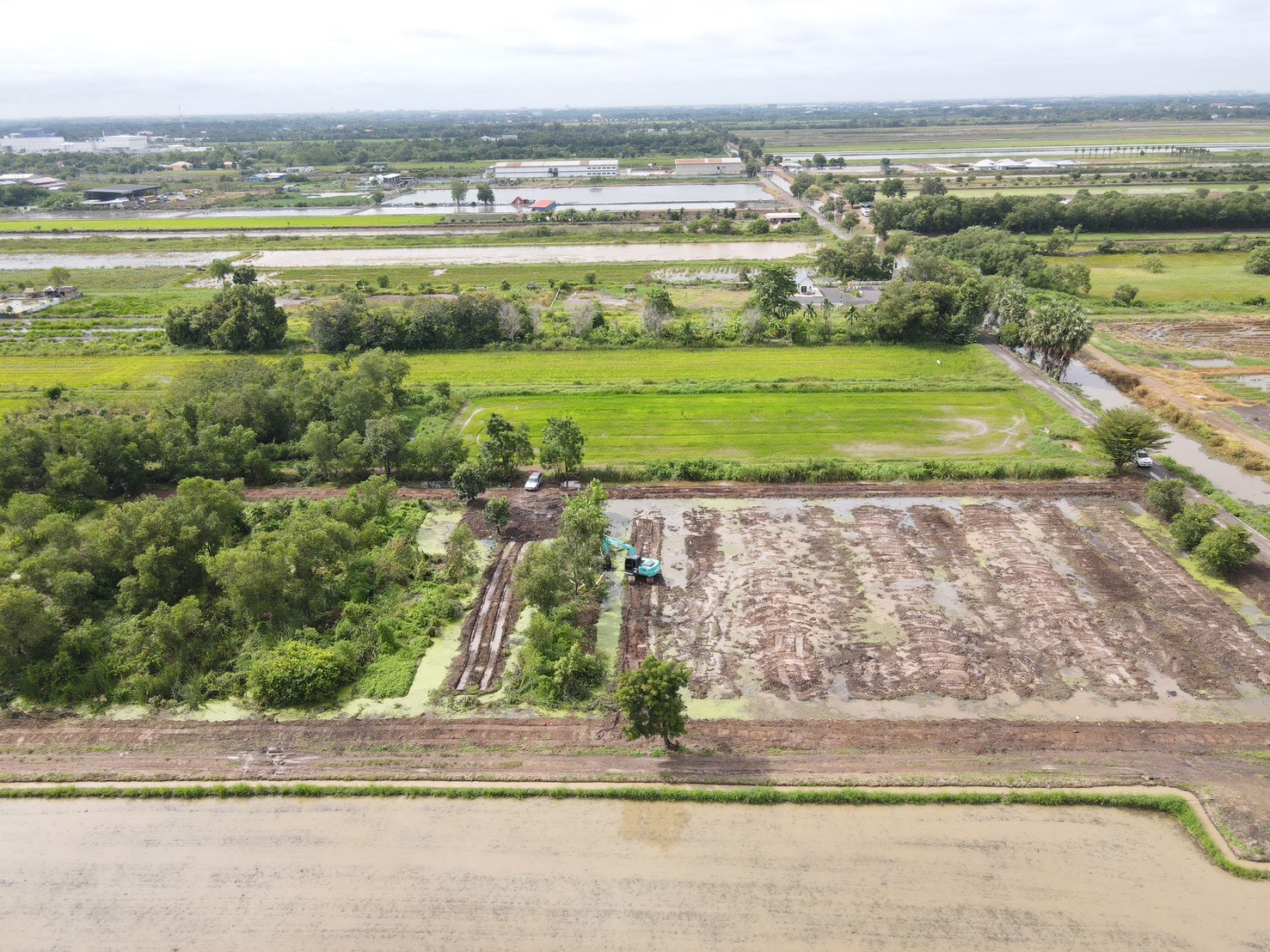 "พบกับที่ดินในฝัน ใกล้มอเตอร์เวย์ 🌿 1 ไร่ – 146 ตร.ว. ที่คลอง 5 อ.คลองหลวง จ.ปทุมธานี"