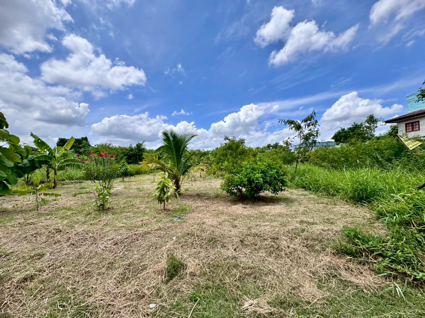 ขายที่ดินเปล่าแปลงสวย ทำเลพัฒนาการตัดใหม่ เหมาะ..สร้างบ้าน ออฟฟิศ (N.641)