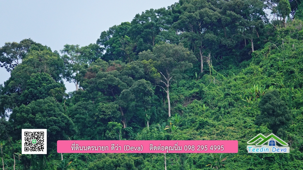 ที่ดินนครนายก ติดลำธารสวยๆ ที่ดินแปลงสวย 6 ไร่ ทำเลดี ในอ้อมกอดของขุนเขา ด้านหลังติดลำธารธรรมชาติ