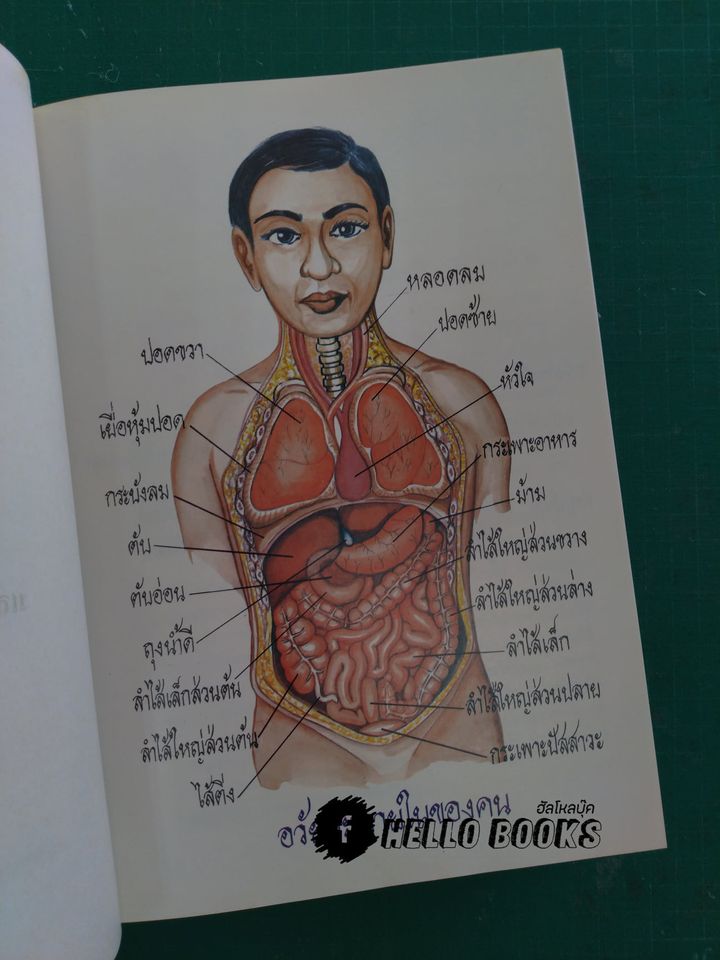 ตำราหมอ