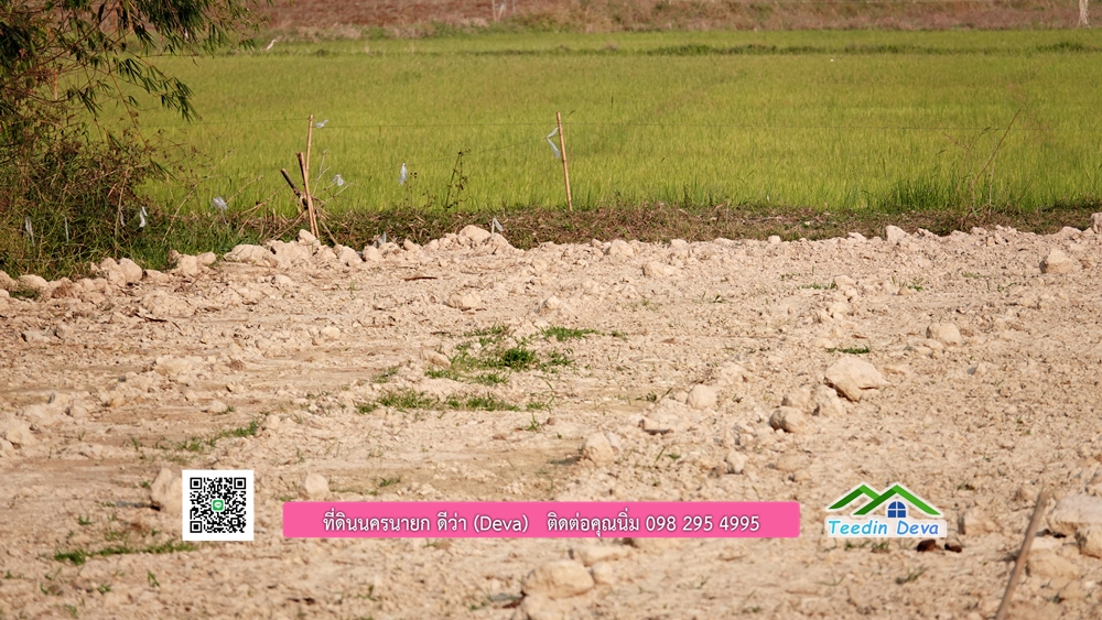 ที่ดินนครนายก วิวทุ่งนาต้นยางสวยๆ ขนาด 4 ไร่ ราคาไร่ละ 1.5 ล้าน ต.เขาเพิ่ม อ.บ้านนา จ.นครนายก