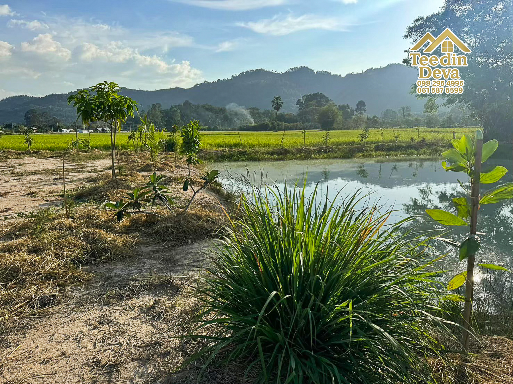 🏞️ ที่ดินวิวภูเขา จุดเริ่มต้นของบ้านในฝัน เนื้อที่ 300 ตารางวา ต.เขาพระ อ.เมือง จ.นครนายก