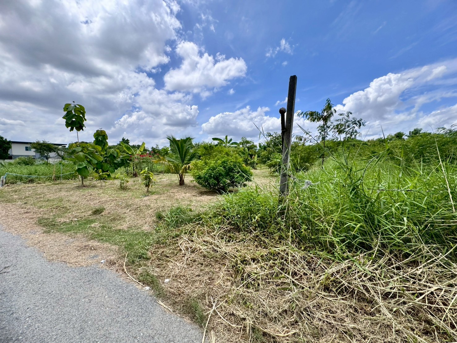 ขายที่ดินเปล่าแปลงสวย ทำเลพัฒนาการตัดใหม่ เหมาะ..สร้างบ้าน ออฟฟิศ (N.641)