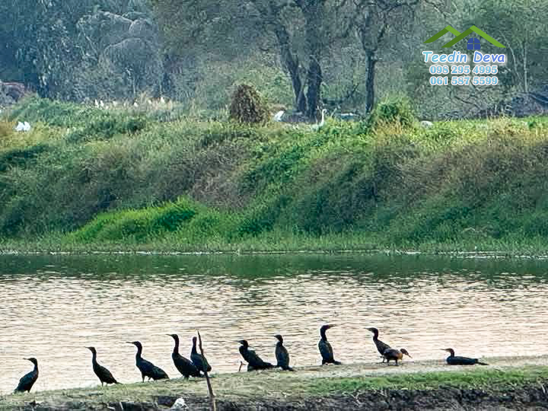 ขายที่ดินนครนายก 1 ไร่ ราคาถูก ลดราคาด่วนๆ ขายไร่ละ 9.5 แสน ต.ศรีนาวา อ.เมือง จ.นครนายก