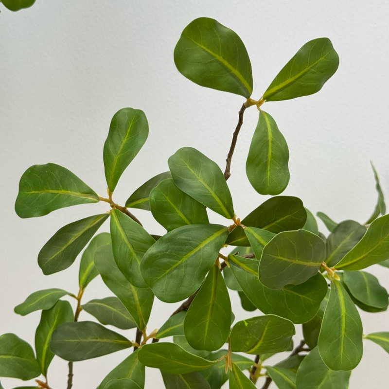 [พร้อมส่ง] Jnihouse : ต้นไม้ประดิษฐ์สูง 130 cm (Tree)