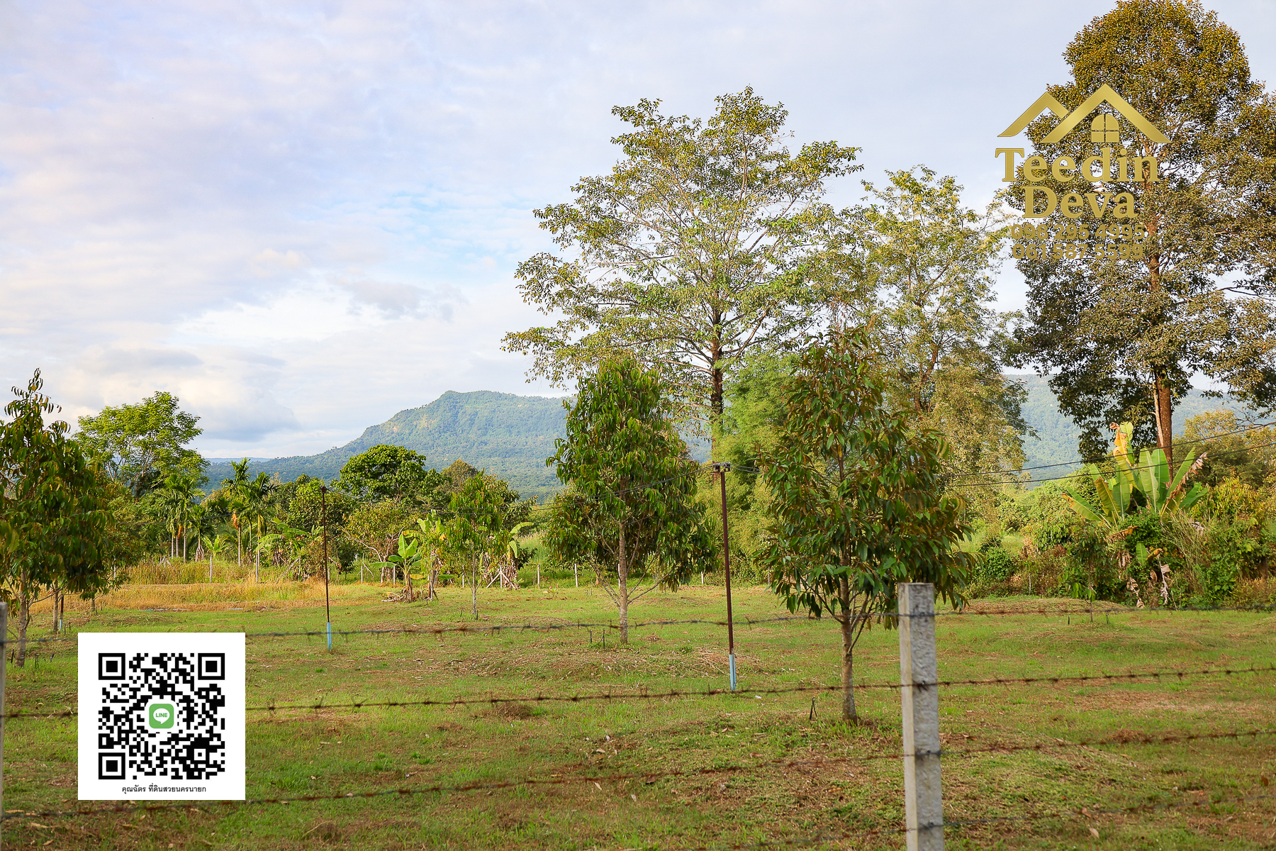 💭 ตื่นเช้าลมเย็น เห็นเขาใหญ่ตรงหน้า... ที่ดินสวนผลไม้ 2 ไร่ 3 งาน ต.นาหินลาด อ.ปากพลี จ.นครนายก