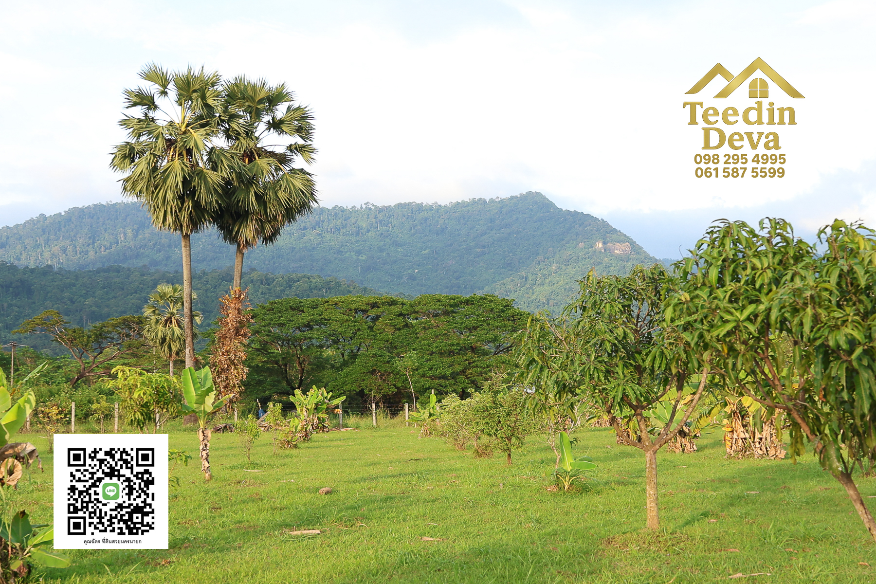 🌿 เริ่มต้นความสุขเล็ก ๆ ด้วยที่ดินแปลงสวย วิวเขา กลางธรรมชาติ ต.สาริกา อ.เมือง จ.นครนายก 💚