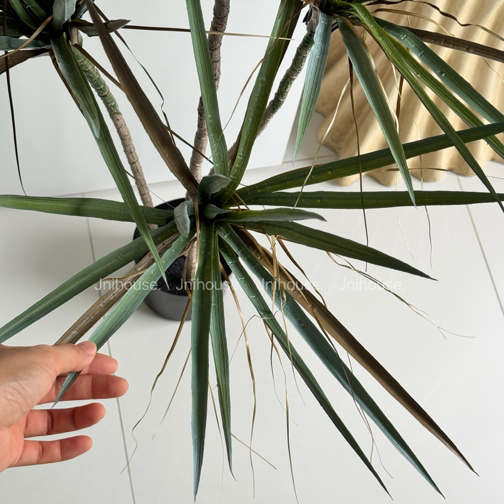 [พร้อมส่ง] Jnihouse : Dragon Tree ต้นไม้ประดิษฐ์ ขนาดสูง 130 cm (Tree)