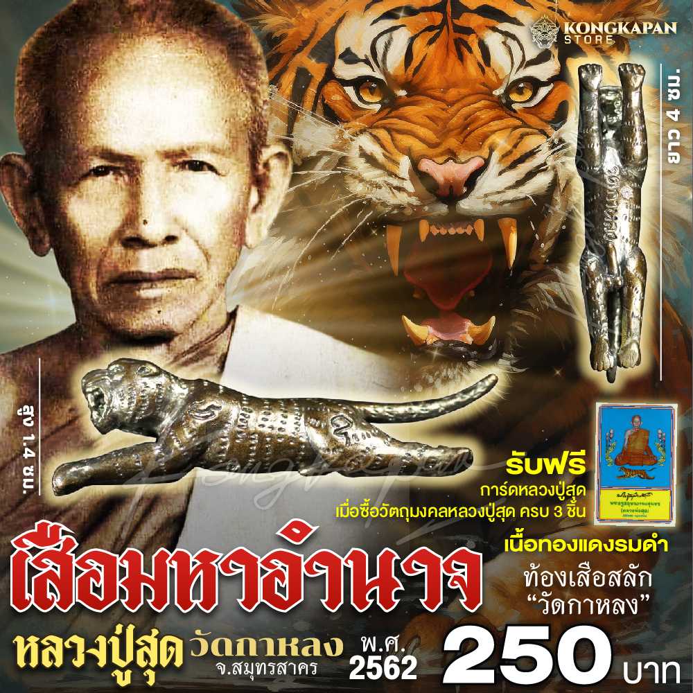 เสือมหาอำนาจ หลวงพ่อสุด ปี พ.ศ. 2562 วัดกาหลง จ.สมุทรสาคร