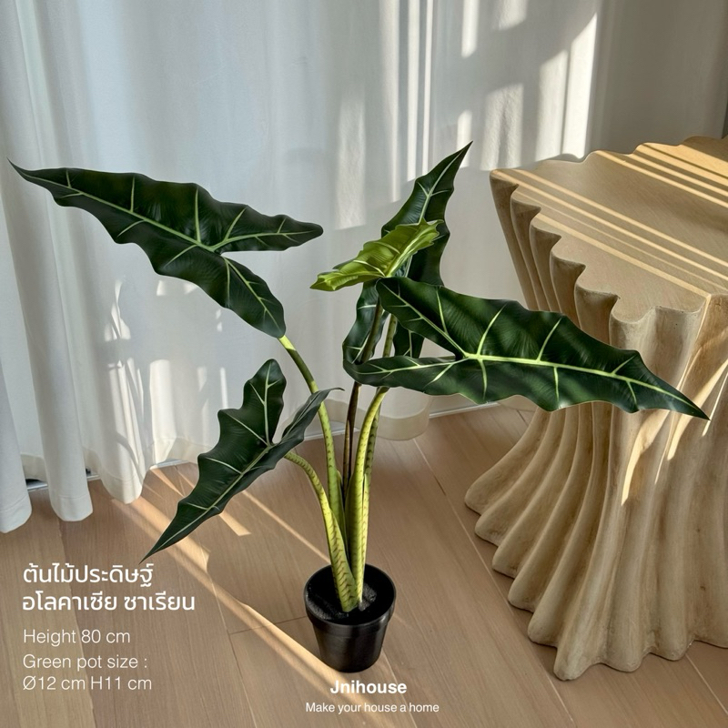 [พร้อมส่ง] Jnihouse : ต้นไม้ประดิษฐ์อโลคาเซีย หูช้าง (Artificial Alocasia Sarian Potted)(Tree)