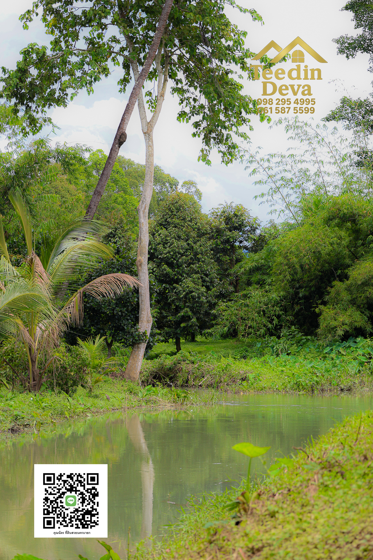 🏞️ สัมผัสเสียงน้ำไหล เคียงข้างขุนเขา — ที่ดิน 1 ไร่ ต.นาหินลาด อ.ปากพลี จ.นครนายก 🌿