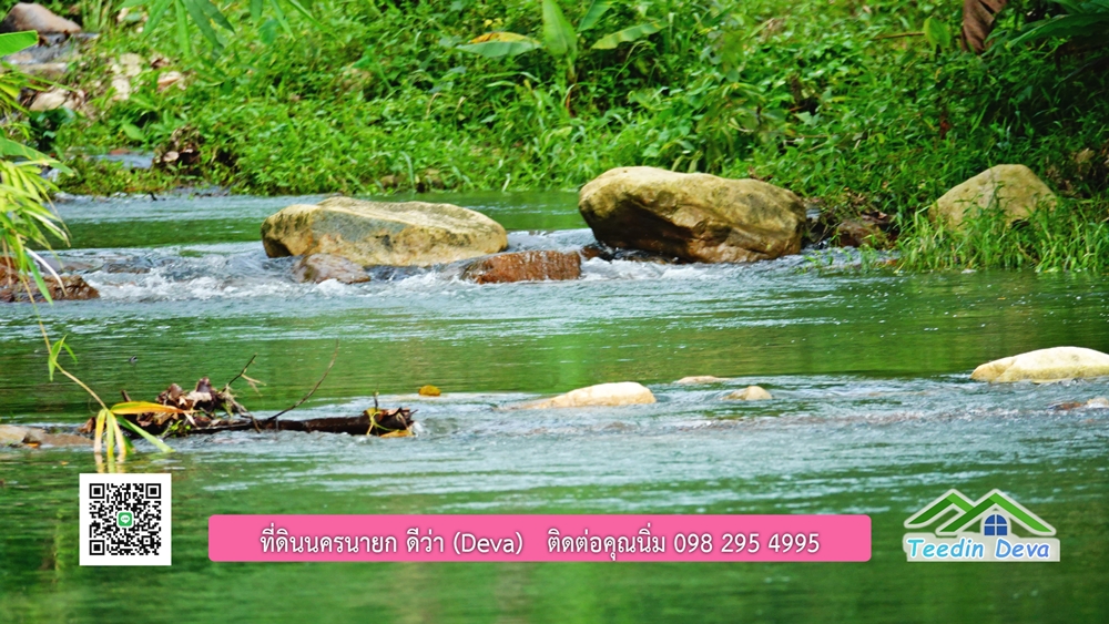 ที่ดินนครนายก ติดลำธารสวยๆ ที่ดินแปลงสวย 6 ไร่ ทำเลดี ในอ้อมกอดของขุนเขา ด้านหลังติดลำธารธรรมชาติ