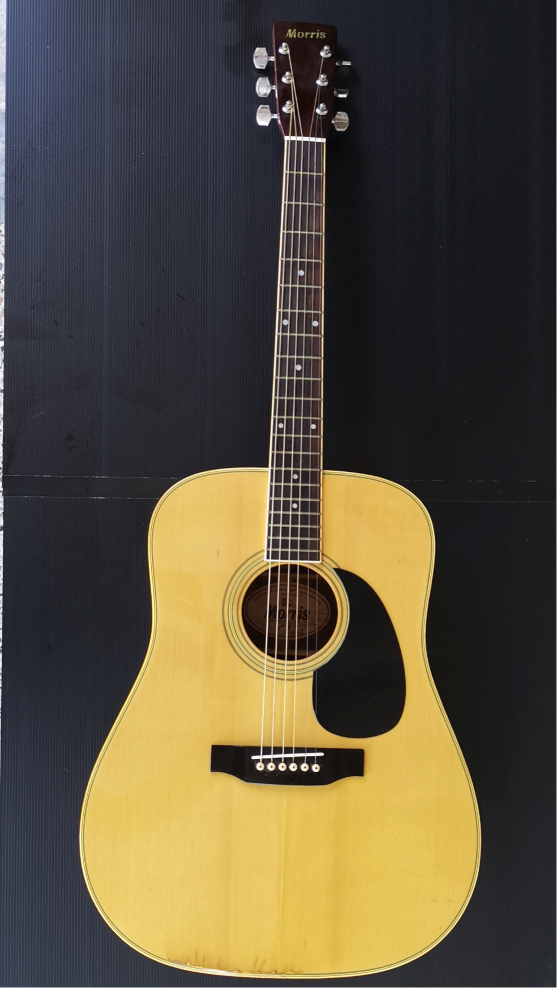 GUITAR : MORRIS W20