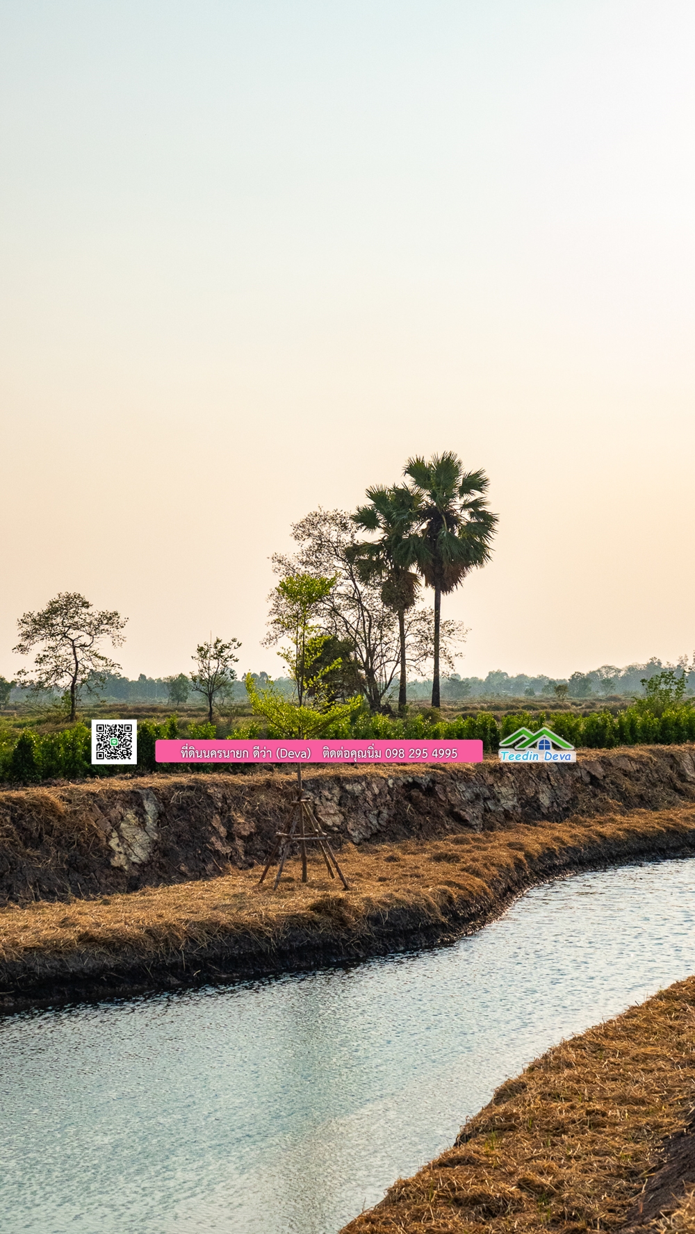 🌿 ที่ดินสวยๆ ขนาด 2 ไร่ พร้อมน้ำไฟ ดินดี น้ำดี อากาศดี มีเพื่อนบ้าน ณ ต.ปากพลี อ.ปากพลี จ.นครนายก