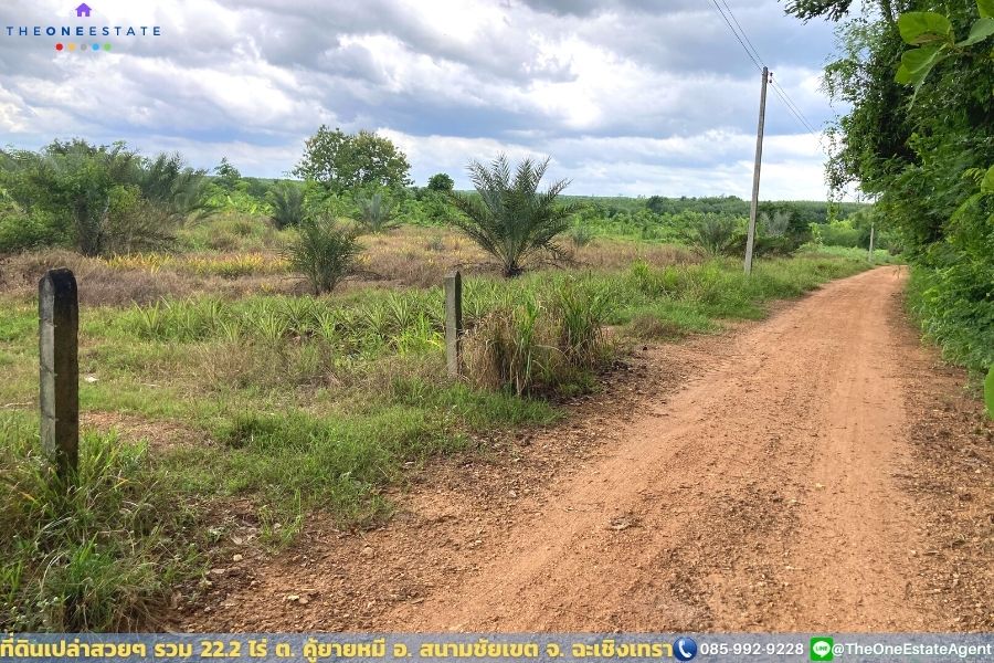 📣 ที่ดินสวย 22.2 ไร่ แปลงยาวสวย ซื้อเก็บลงทุนยาว ปลูกบ้าน ทำการเกษตร ทำสวน เลี้ยงปลาดีมาก ต.คู้ยายหมี อ.สนามชัยเขต จ.ฉะเชิงเทรา The Best ! | โทร. 085-992-9228