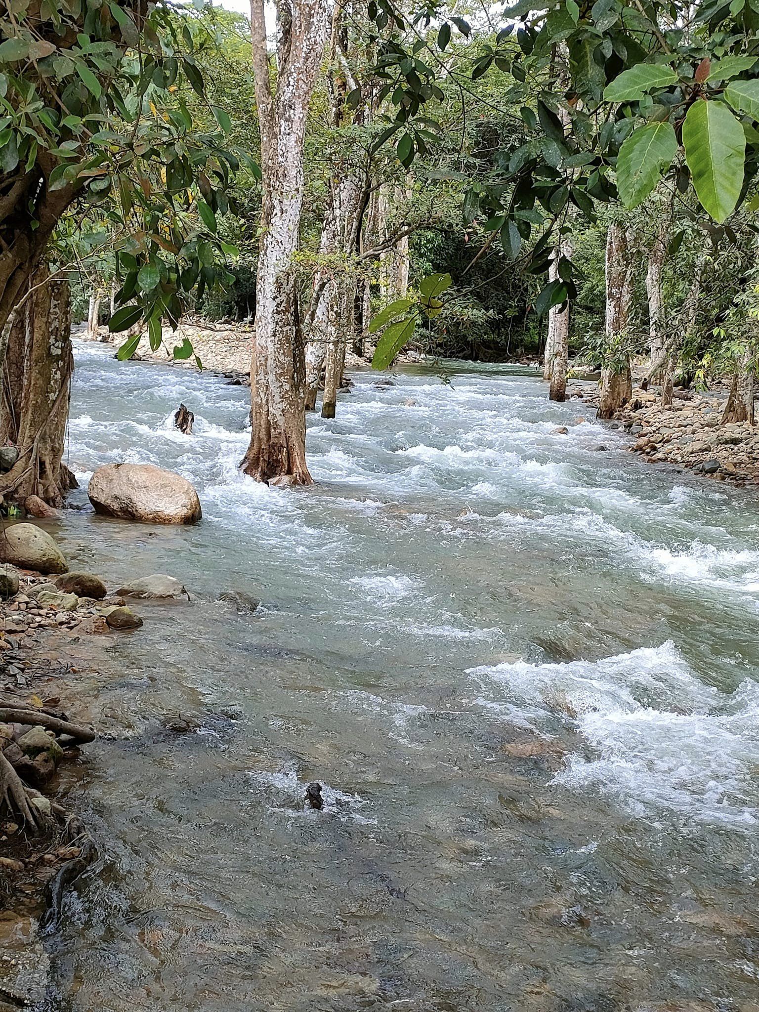 ที่ดินนครนายก ติดลำธารสวย บรรยากาศดีมากๆ วิวภูเขาล้อมพาโนราม่า ต.สาริกา อ.เมือง จ.นครนายก โฉนดครุฑแดง