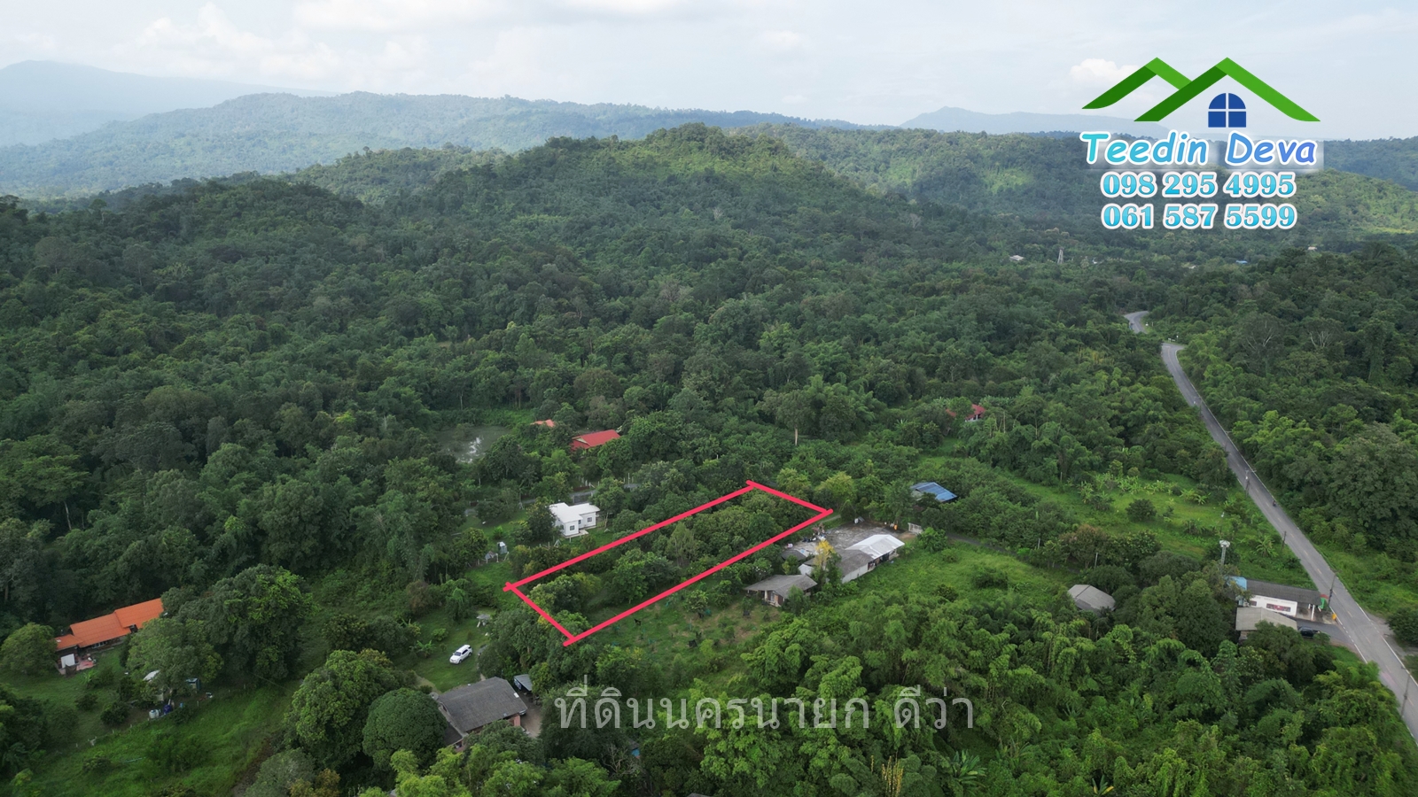 🌳🍊 ที่ดินนครนายก สวนผลไม้ เนื้อที่ 2 ไร่ ในทำเลติดกับภูเขา วิวสวยงาม ผลไม้เก็บผลผลิตได้แล้ว