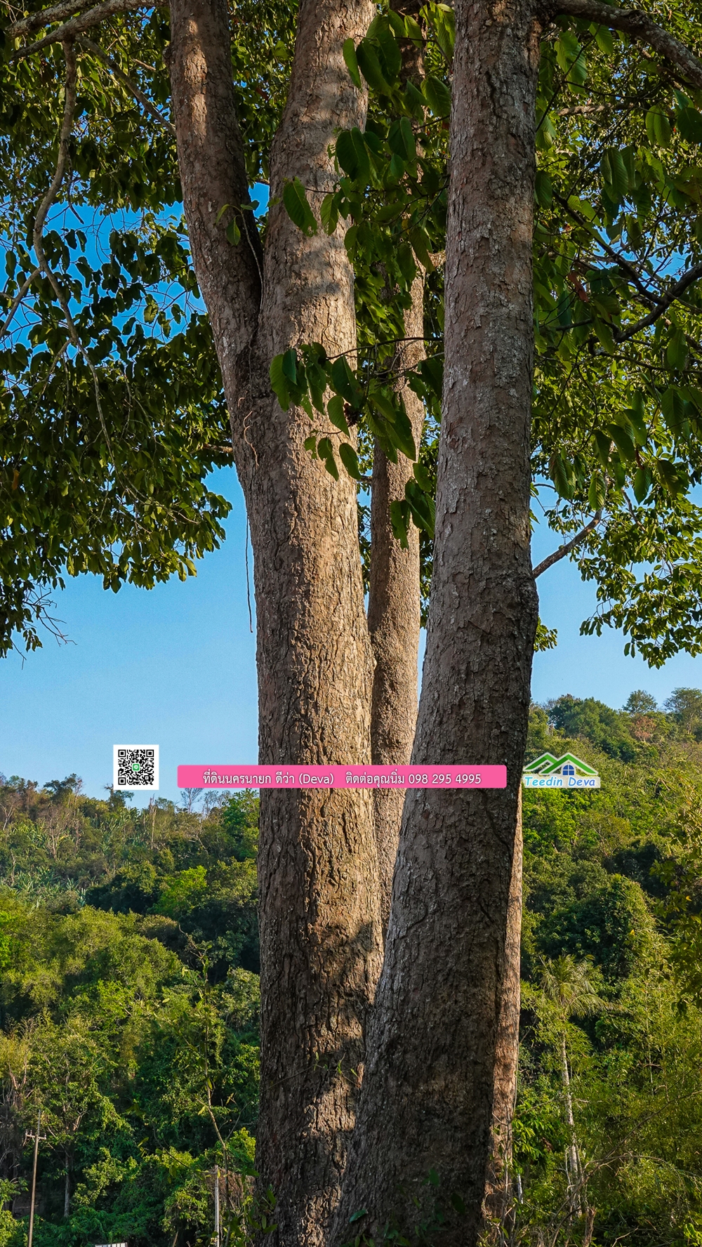 ที่ดินนครนายก วิวเขาพระ เขาใหญ่ ⭐ อยู่ใกล้แหล่งท่องเที่ยว เดินทางสะดวก ต.เขาพระ อ.เมือง จ.นครนายก