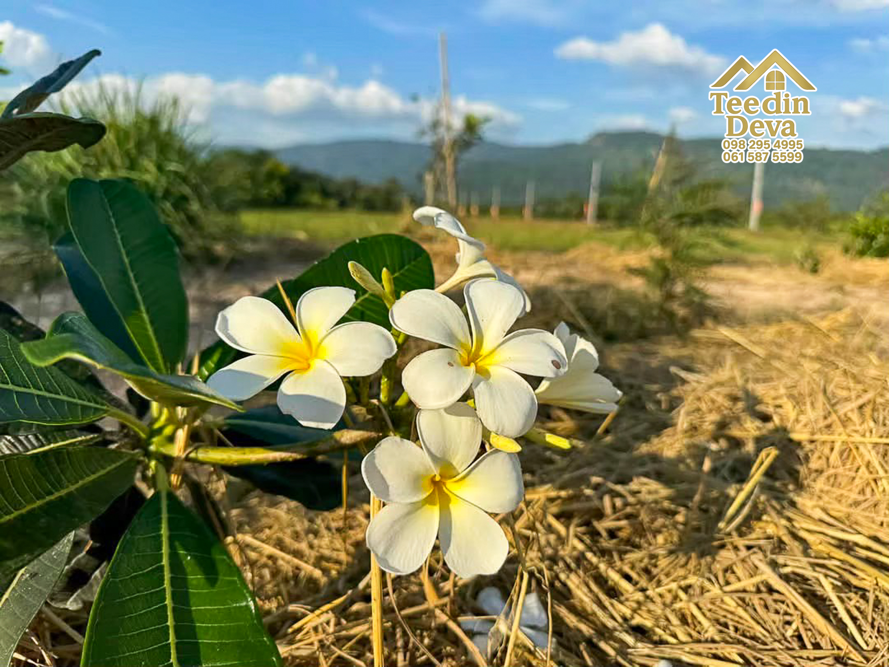 🏞️ ที่ดินวิวภูเขา จุดเริ่มต้นของบ้านในฝัน เนื้อที่ 300 ตารางวา ต.เขาพระ อ.เมือง จ.นครนายก