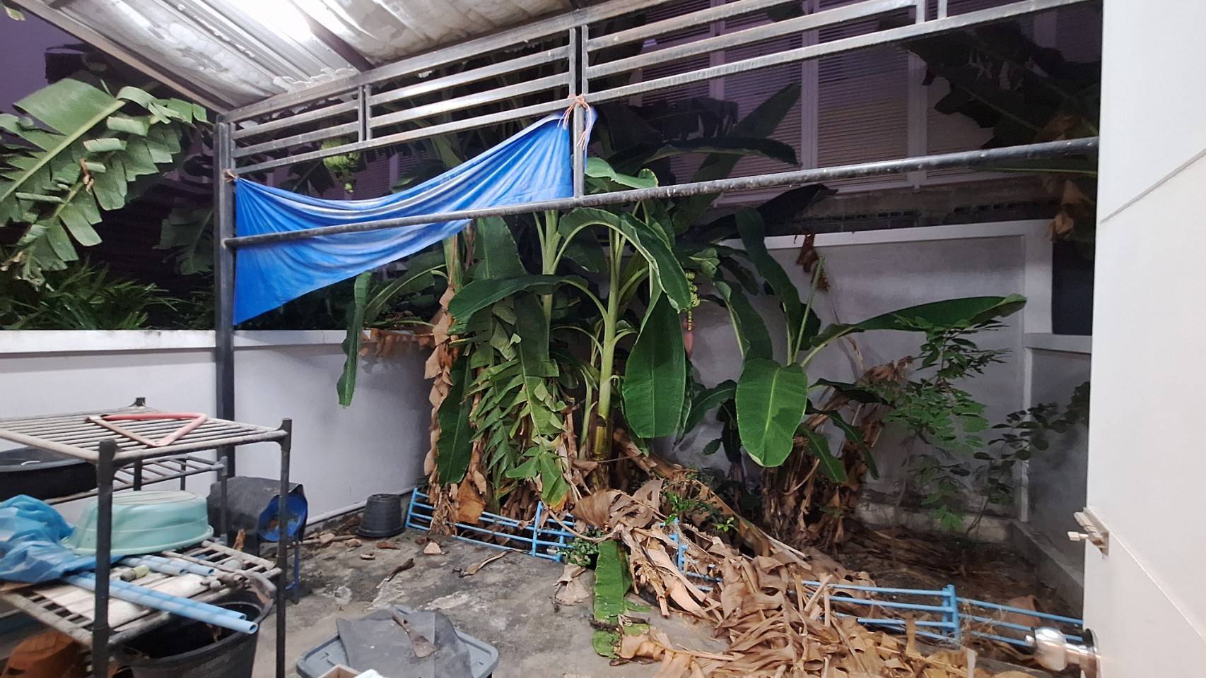 ขายทาวน์เฮ้าส์ หมู่บ้านดิ เอ็กซ์คลูซีฟ พัฒนาการ 44 (The Exclusive Village - Pattanakarn 44) (N.942)