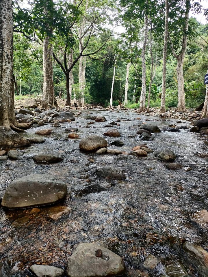 ที่ดินนครนายก ติดลำธารสวย บรรยากาศดีมากๆ วิวภูเขาล้อมพาโนราม่า ต.สาริกา อ.เมือง จ.นครนายก โฉนดครุฑแดง