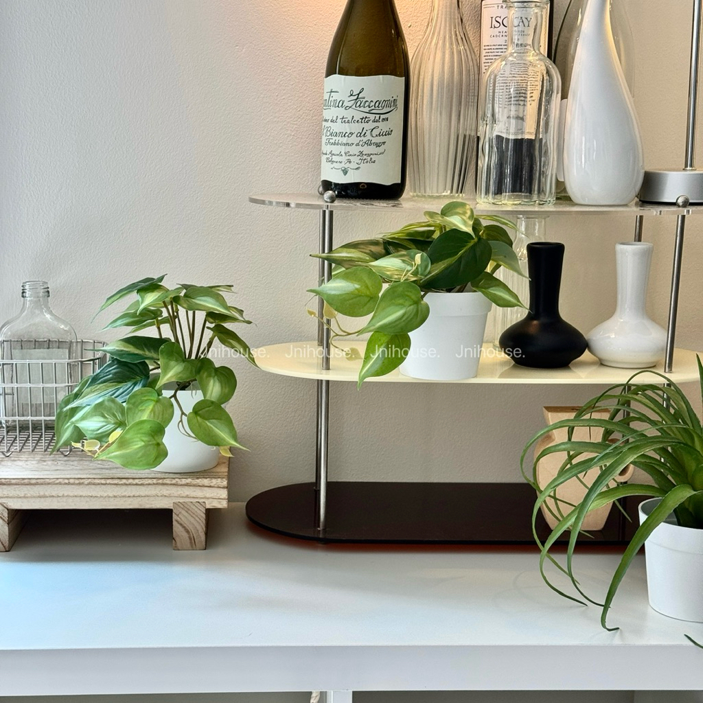 [พร้อมส่ง] Jnihouse : ต้นพลูด่างประดิษฐ์+กระถางพลาสติกขาว