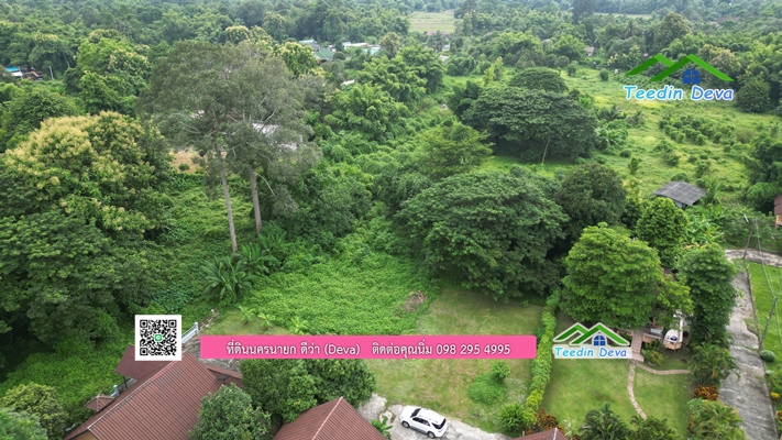 🌳 ที่ดินแปลงสวย 1 ไร่ 21 ตร.ว ใกล้กับแม่น้ำนครนายก บรรยากาศดี ร่มรื่น มีต้นไม้ใหญ่ในแปลง โฉนดครุฑแดง