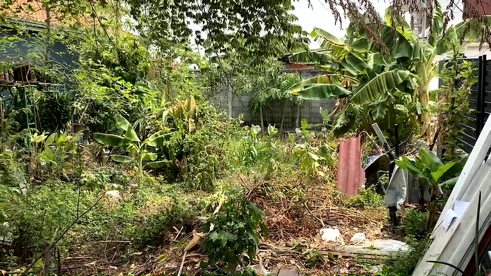 ขายที่ดิน ดอนเมือง ขนาด 50 ตารางวา ซอยสรณคมน์ 25 แยก3 (ซอยหมู่บ้านปิ่นเจริญ1) เหมาะสร้างบ้าน สร้างคาเฟ่ และอื่นๆ