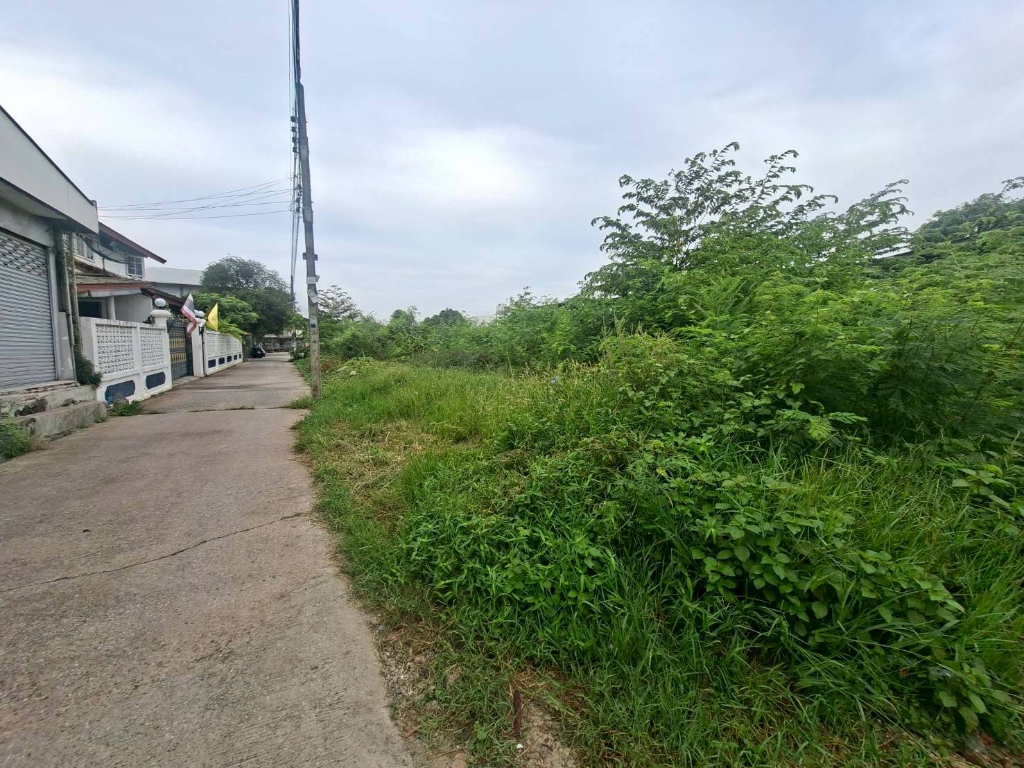 ให้เช่าที่ดินถมแล้ว 1 ไร่ ทำเลดี ติดถนนเฉลิมพระเกียรติ (N.1785)