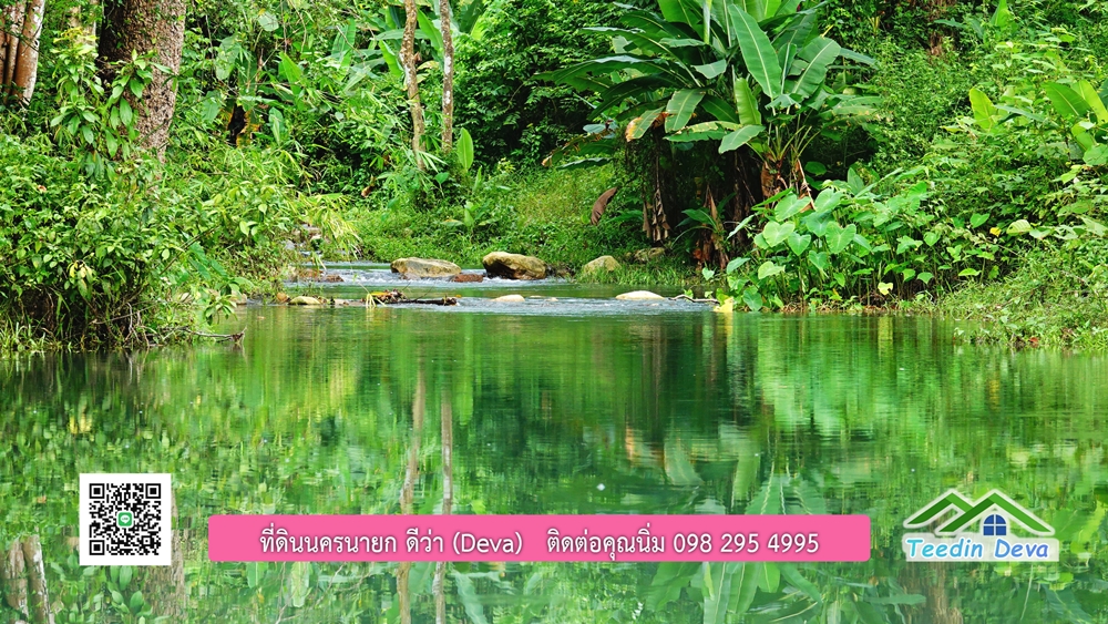 ที่ดินนครนายก ติดลำธารสวยๆ ที่ดินแปลงสวย 6 ไร่ ทำเลดี ในอ้อมกอดของขุนเขา ด้านหลังติดลำธารธรรมชาติ