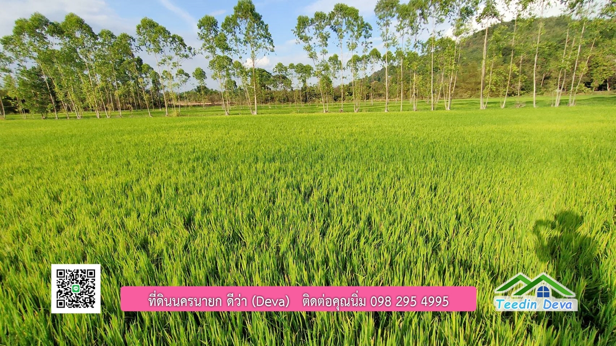 ขายที่วิวภูเขา 3 ไร่ ครุฑแดง อยู่ติดกับที่ดินของ ดาราคนดัง ต.เขาเพิ่ม อ.บ้านนา จ.นครนายก