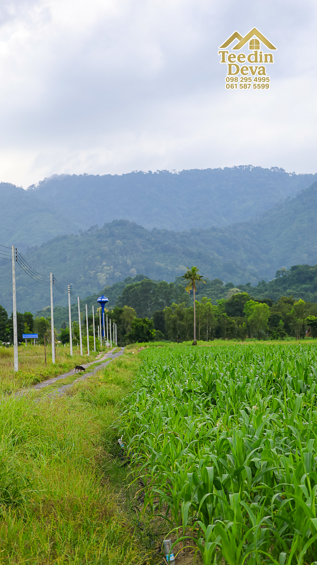 🌿 “ที่ดินในฝัน...ริมสายน้ำ ใต้เงาภูเขา” 2 ไร่ 3 งาน 84 ตรว. ต.เขาพระ อ.เมือง จ.นครนายก 🏞️