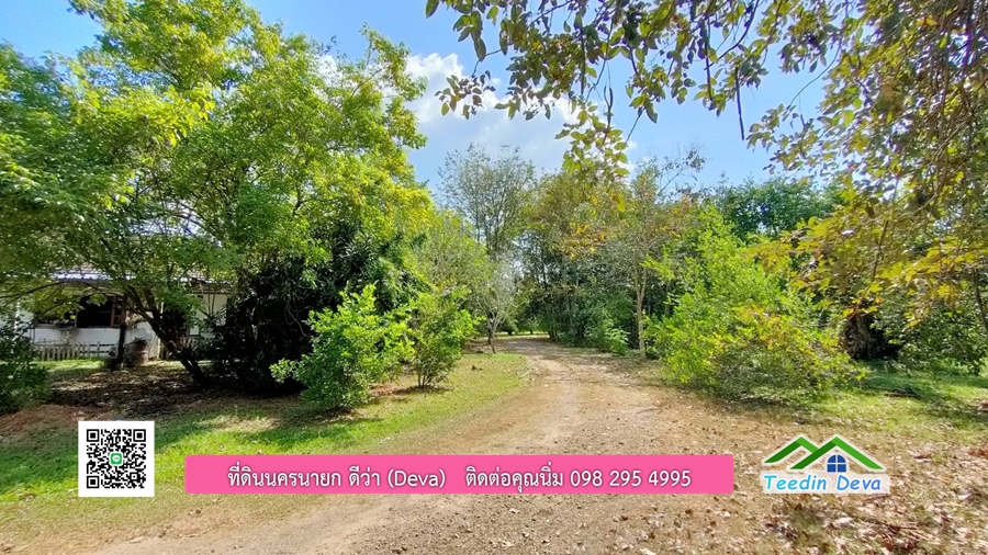 บ้านสวนผลไม้ ใกล้กับแหล่งท่องเที่ยว เจ้าของปลูกมะยงชิด ส้มโอ ต้นกฤษณา 20 ไร่ อยู่ติดถนนสายท่องเที่ยว สาริกา-นางรอง ต.สาริกา อ.เมือง จ.นครนายก