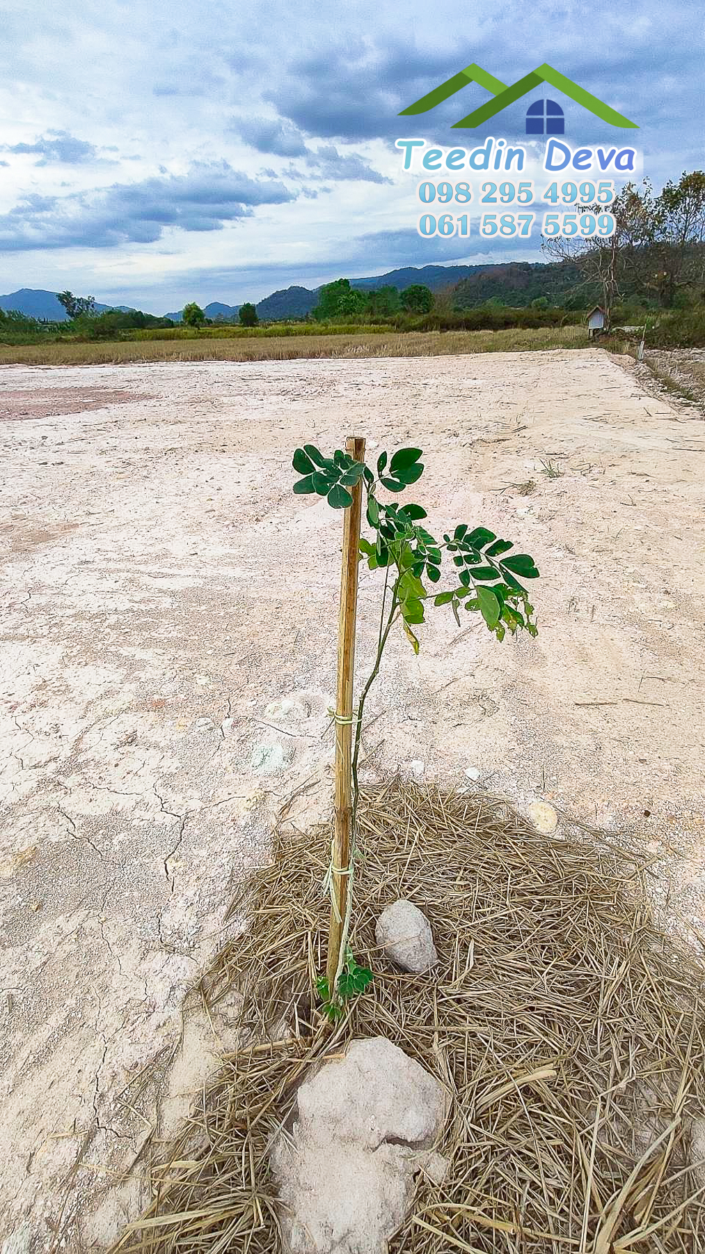 (🔴 ปิดการขาย) ที่ดินแปลงเล็ก วิวภูเขาโตๆ เนื้อที่ 70 ตร.ว. ราคาเบาๆ ต.สาริกา อ.เมือง จ.นครนายก