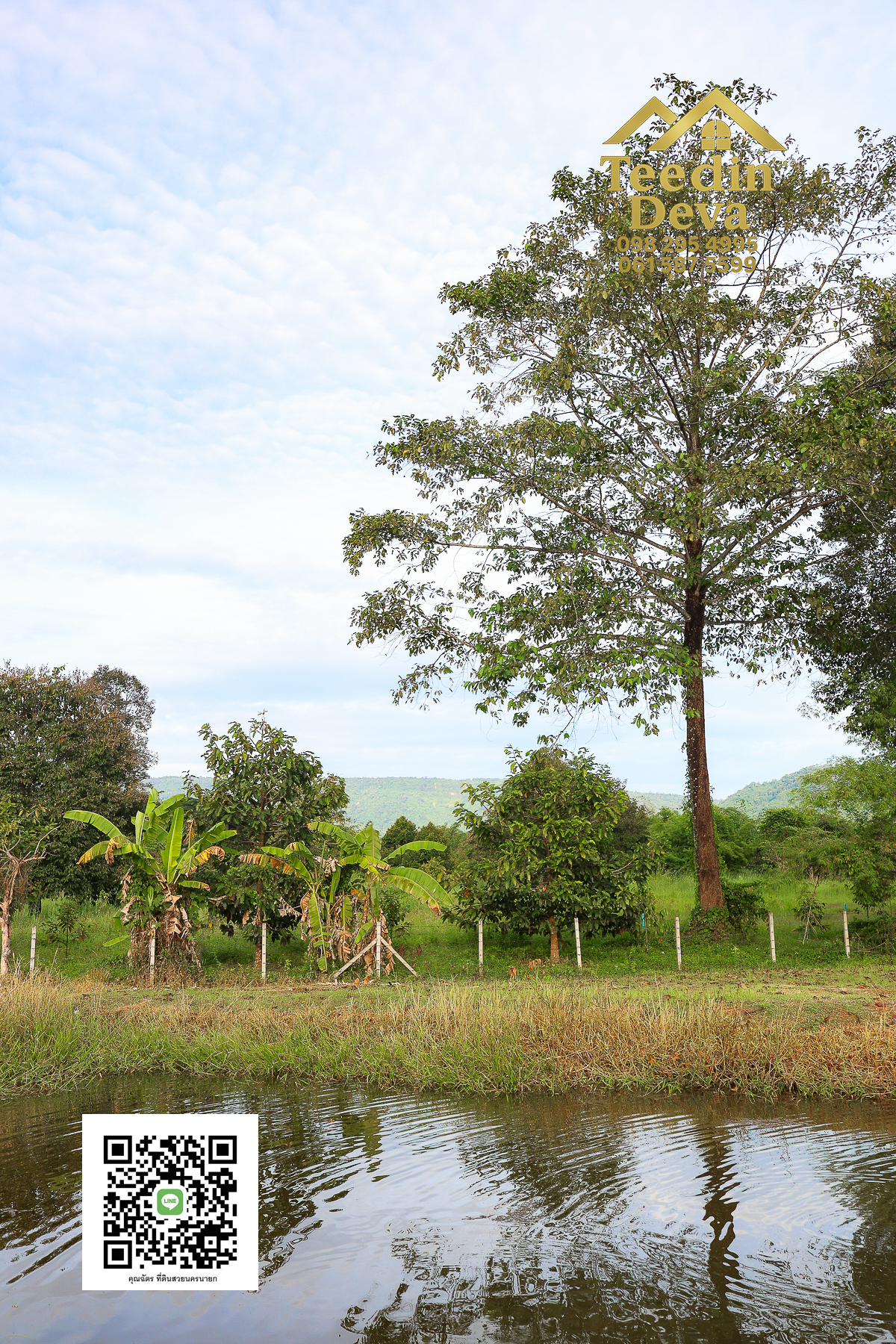 💭 ตื่นเช้าลมเย็น เห็นเขาใหญ่ตรงหน้า... ที่ดินสวนผลไม้ 2 ไร่ 3 งาน ต.นาหินลาด อ.ปากพลี จ.นครนายก