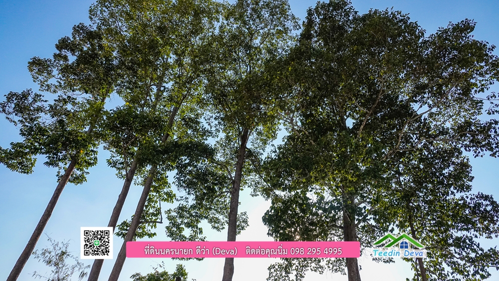 ที่ดินนครนายก วิวเขาพระ เขาใหญ่ ⭐ อยู่ใกล้แหล่งท่องเที่ยว เดินทางสะดวก ต.เขาพระ อ.เมือง จ.นครนายก