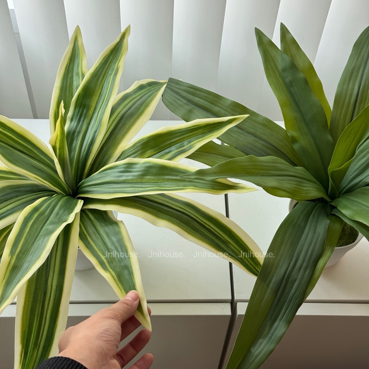 [พร้อมส่ง] Jnihouse : ต้นวาสนา ต้นไม้ประดิษฐ์ (Tree)