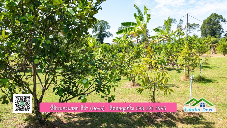 (ติดจอง) ที่ดินนครนายก บ้านสวน พร้อมที่ดิน ขนาด 1 ไร่ 1 งาน วิวภูเขาสวย อยู่ใกล้เขื่อนขุนด่านปราการชล