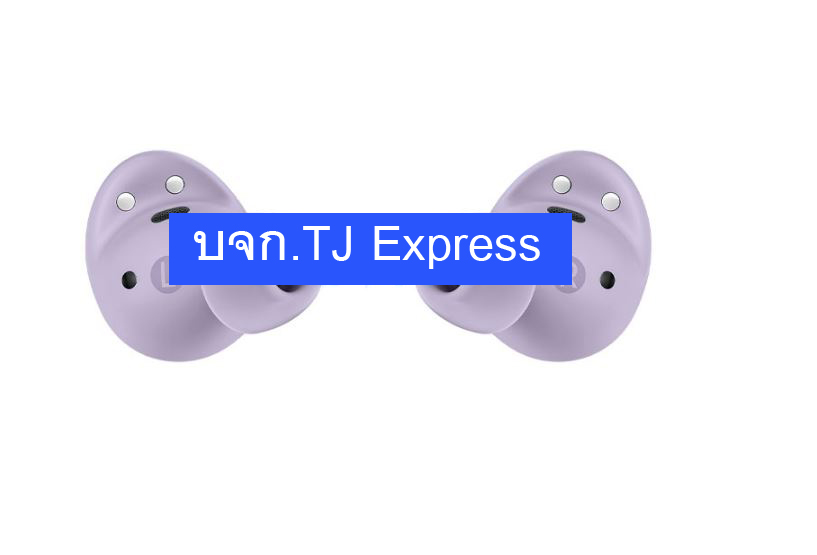 Bluetooth Earbuds SAMSUNG Galaxy Buds 2 Pro (R510NLVAASA) Purple