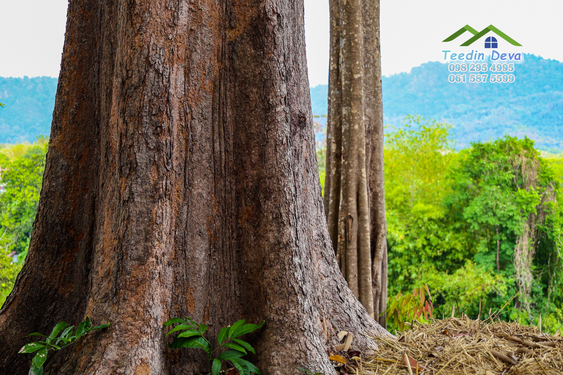 🌿 “มุมสงบแห่งภูกะเหรี่ยง” ที่ดินวิวเขา ริมคลองน้ำใส 297 ตรว. ต.หินตั้ง อ.เมือง จ.นครนายก สำเนา