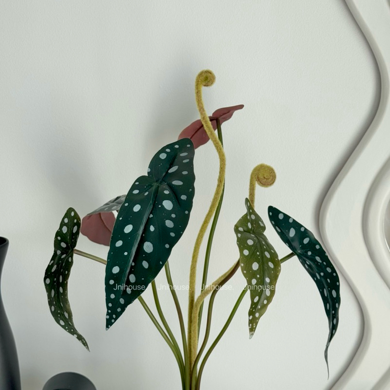 [พร้อมส่ง] Jnihouse : ต้นไม้ประดิษฐ์บีโกเนียลายจุด (Artificial Begonia Maculata Tree)