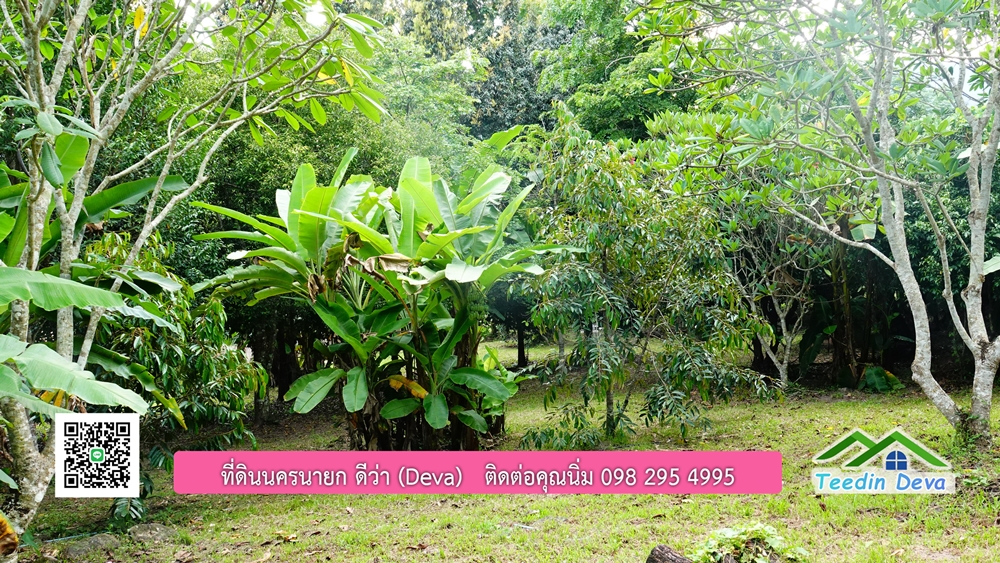 ที่ดินนครนายก สวนผลไม้ พื้นที่ 7 ไร่ ปลูกทุเรียน มังคุด ลองกอง มะยมชิด มีอาคาร 4 หลัง ด้านหน้าถนนสาธารณะ ด้านหลังติดอ่างเก็บน้ำ