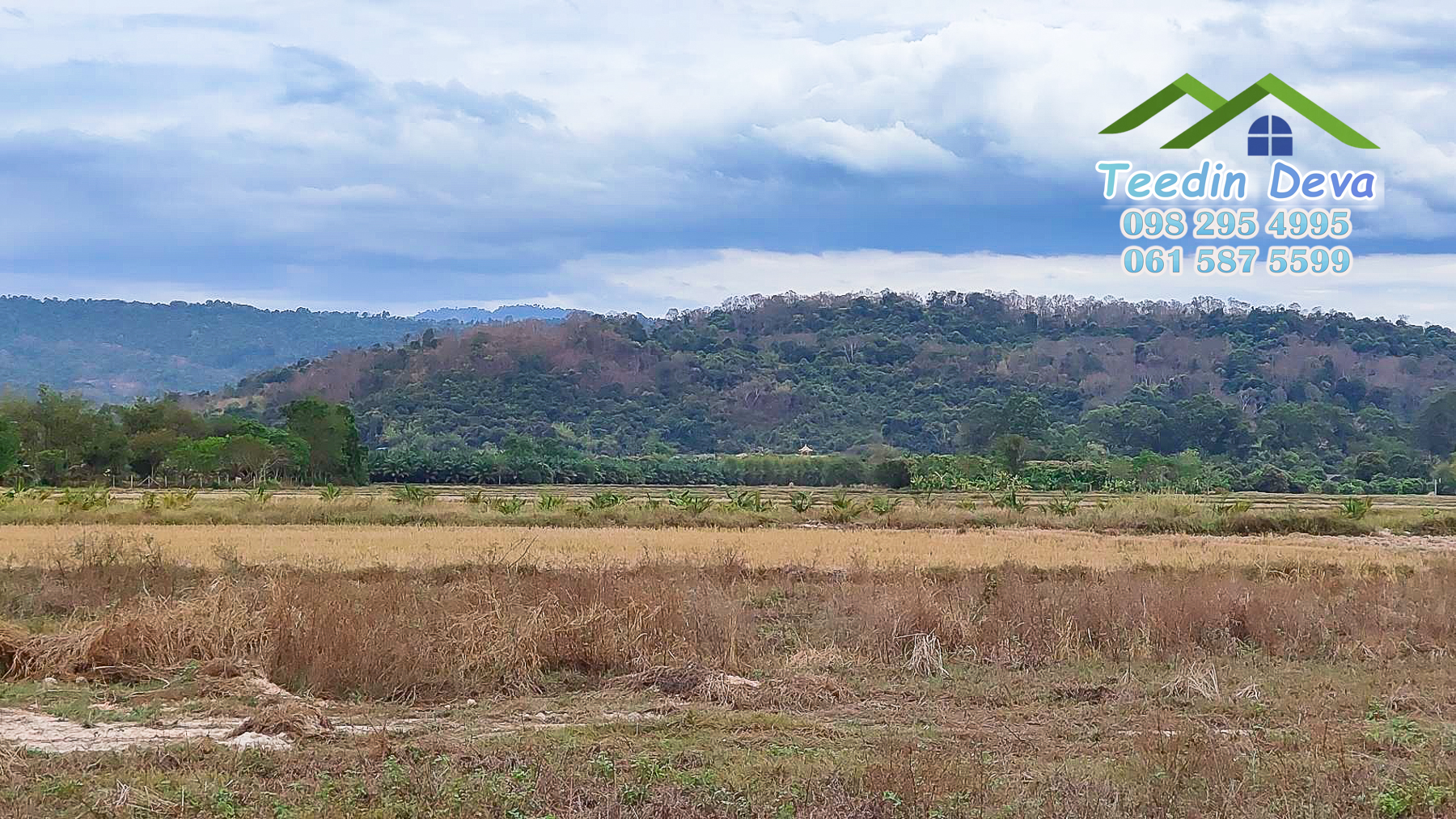 (🔴 ปิดการขาย) ที่ดินแปลงเล็ก วิวภูเขาโตๆ เนื้อที่ 70 ตร.ว. ราคาเบาๆ ต.สาริกา อ.เมือง จ.นครนายก