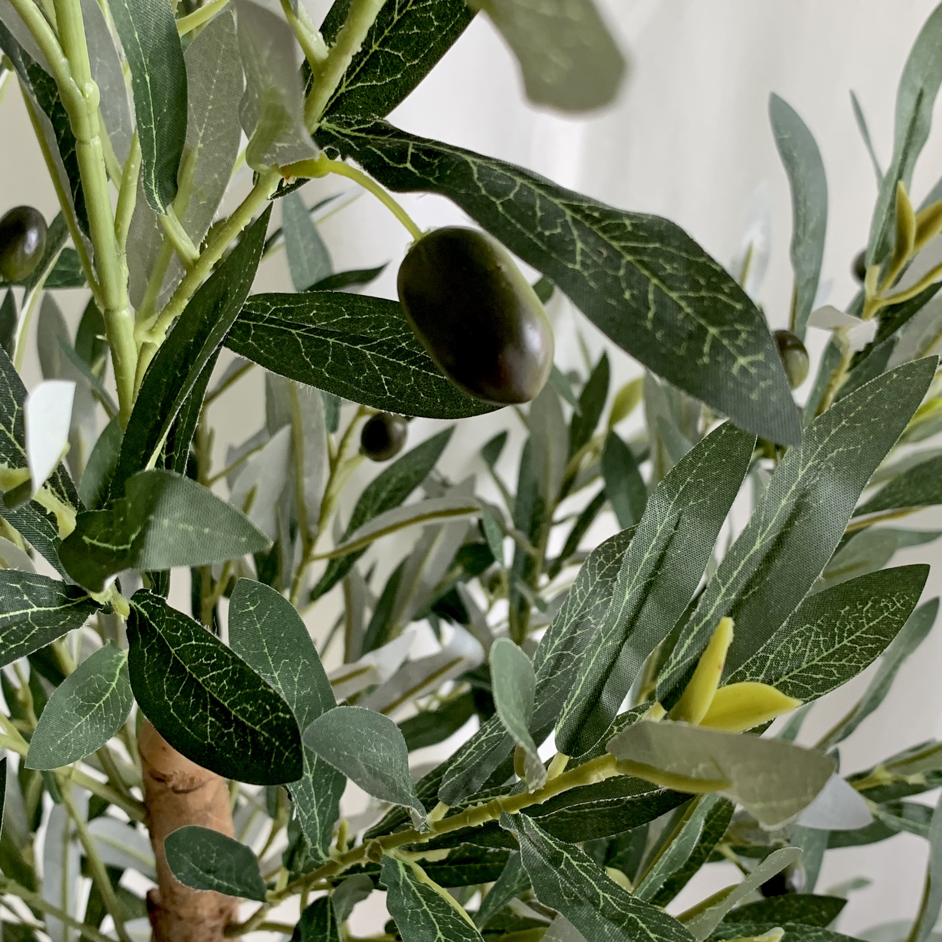 [พร้อมส่ง] Jnihouse : ต้นมะกอกปลอม สูง 1.6 1.8 เมตร ลำต้นทำจากไม้ (Olive Tree)