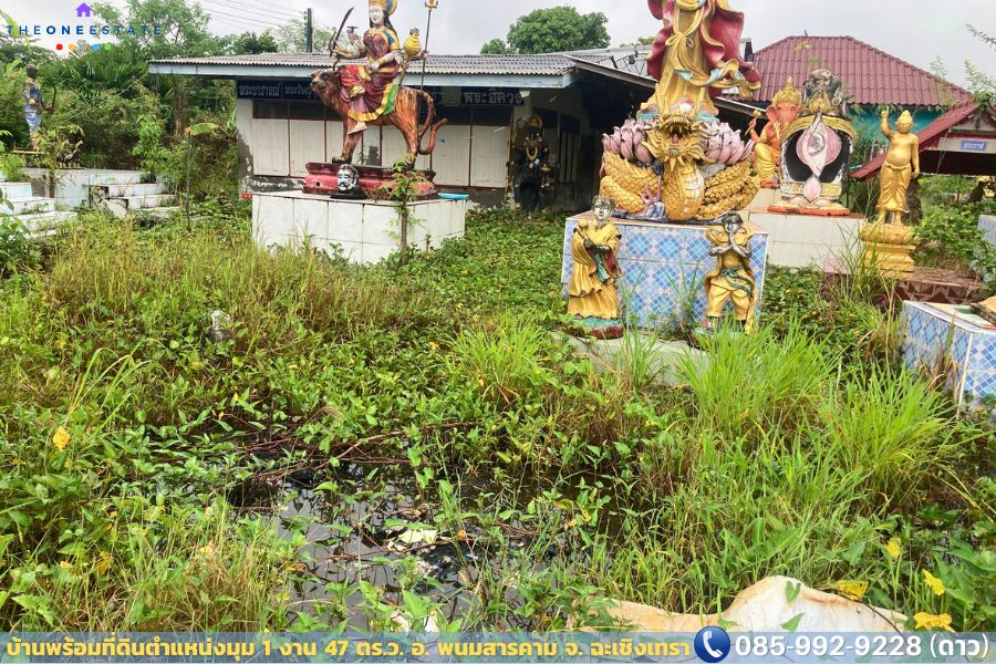 🏠✨ ประกาศขายบ้านพร้อมที่ดิน “แปลงมุม” ทำเลบ้านซ่อง – พนมสารคาม, ฉะเชิงเทรา